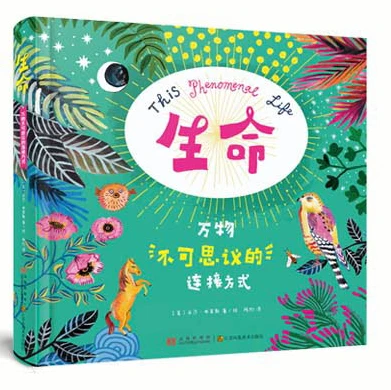 学生球员如何平衡学业和篮球训练调整_0